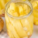 Canning French Fries Untitled design - 2026-06-09T185928.942